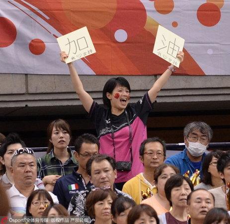 世界杯女排中日（中国女排3-1日本四夺世界杯冠军 直通里约奥运）