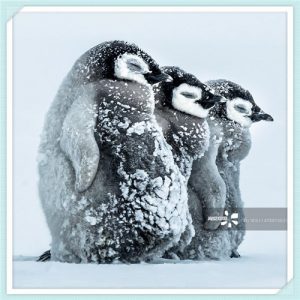 本田凌派质量怎么样（本田凌派怎么样）-华海博客