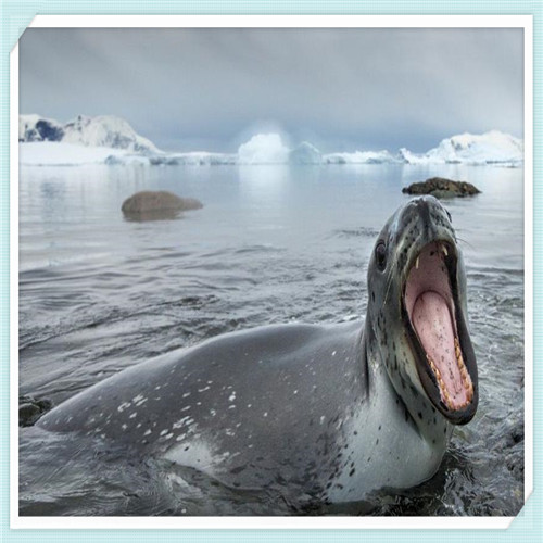 中锐控股集团怎么样（中梁控股集团怎么样）