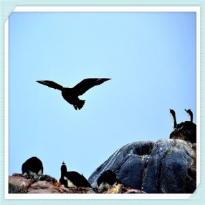 机场工资8000左右岗位（太原机场工资8000左右岗位）-华海博客