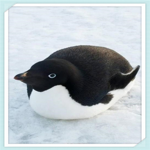 浙江树人学院名声（浙江树人学院名声大不大）