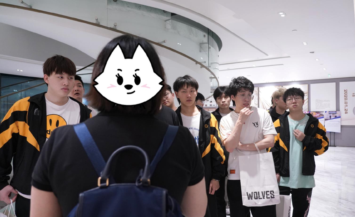 复星集团重庆狼队(狼队参观复星总部,林教练被打马赛克,小胖忙于减肥,刺痛染黄毛)