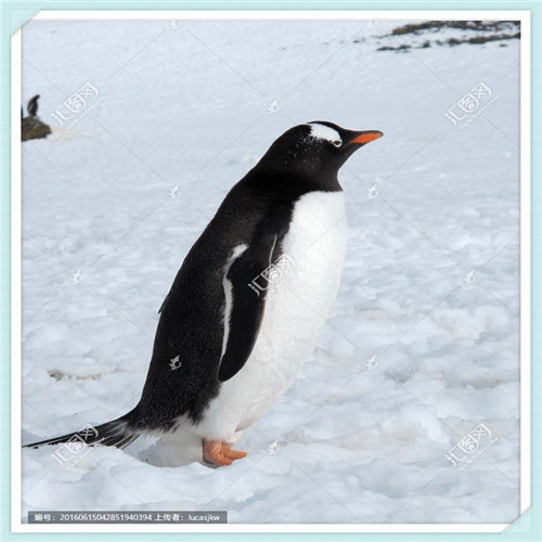 坤泰胶囊治疗月经量少吗（坤泰胶囊治月经量少）