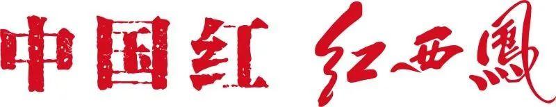 2012年武林风(太顶了!武林风《全球功夫盛典TOP10》炸裂来袭)