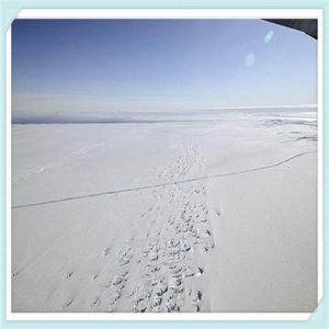 自考本科跟专科哪个好（自考本科跟专科哪个好一点）-华海博客