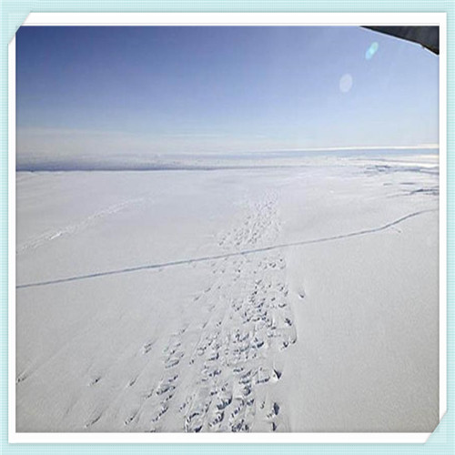 自考本科跟专科哪个好（自考本科跟专科哪个好一点）