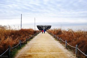 韩国队历届世界杯成绩(韩国足球队历届世界杯)-华海博客