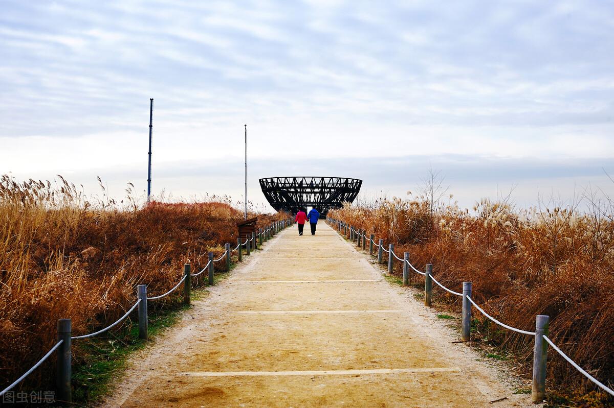 韩国队历届世界杯成绩（韩国足球队历届世界杯）