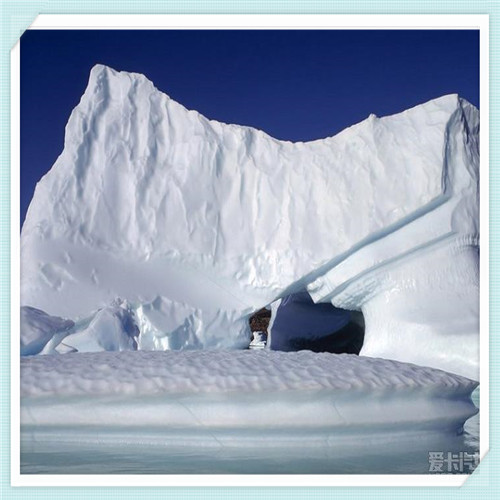 深圳国旅国际旅行社营业部(深圳国旅国际旅行社营业部南山区)