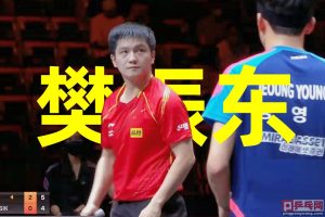 世界杯四强排名2021（樊振东杀进世界杯四强，难掩队友三连败难堪，三位获胜者说了什么）-华海博客