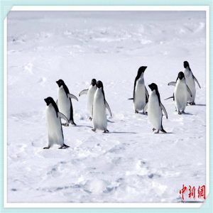 路通驾校报名费多少钱（路路通驾校报名费）-华海博客