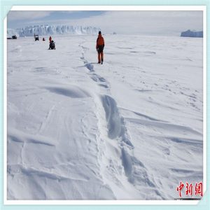 什么超市加盟便宜（什么超市加盟便宜决明子菊花枸杞金银花牛蒡根桂花）-华海博客
