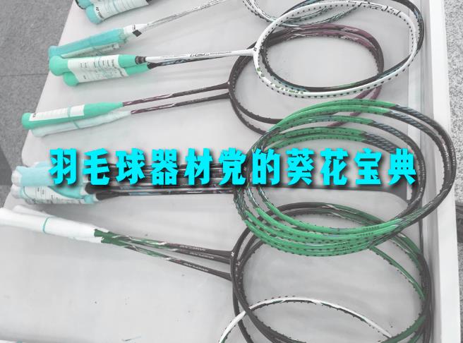 凯胜羽毛球鞋型号(羽毛球器材党的葵花宝典)