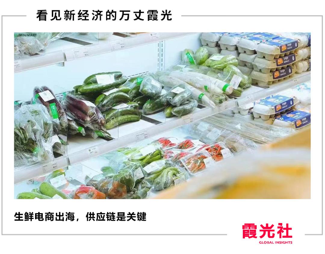 中国人在菲律宾工作(我在菲律宾做生鲜电商,成了“马尼拉市最佳雇主”)