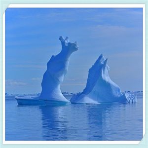 五谷杂粮怎么买比较好（五谷杂粮怎么吃比较好）-华海博客