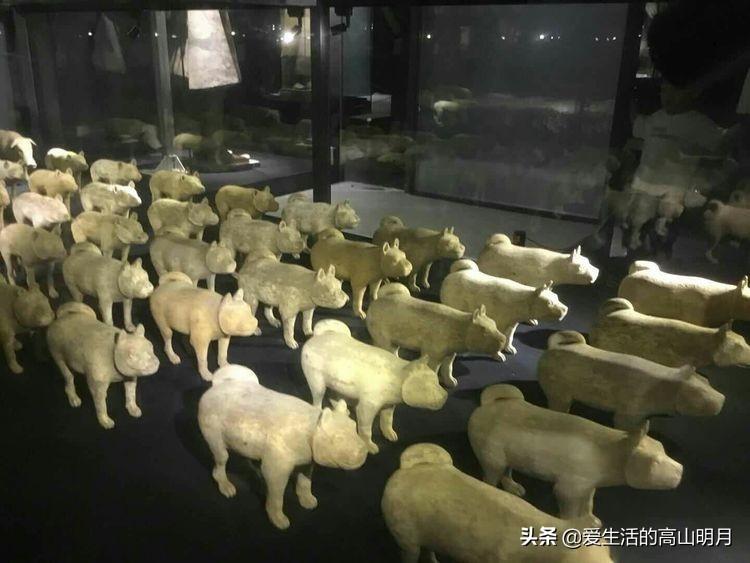 秦始皇兵马俑（秦始皇兵马俑）