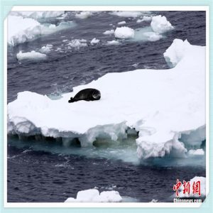 简单线条绘画（简单线条绘画图片大全）-华海博客