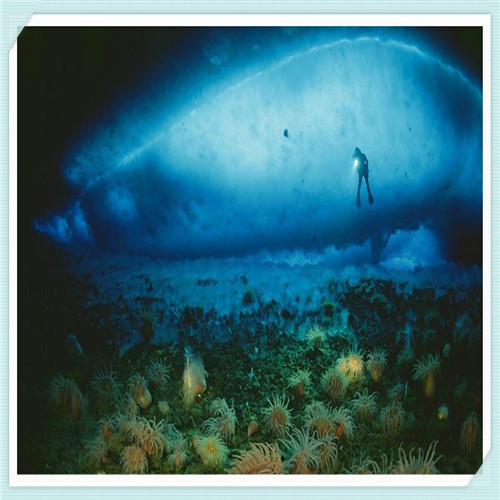 警察买房有什么福利吗（深圳警察买房有什么福利吗）