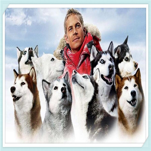 互联网金融上市公司名单（互联网金融上市公司排名）