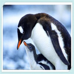 最新丰田suv新车（最新丰田suv新车图片）-华海博客