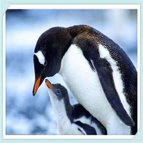 最新丰田suv新车(最新丰田suv新车图片)