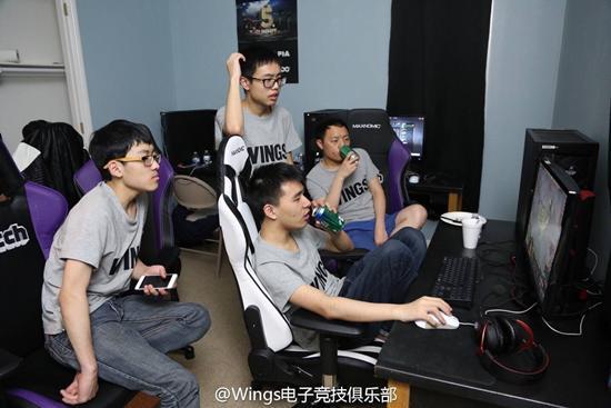 ti6冠军wings队员(电竞浮光:TI6冠军Wings 雄鹰展翅,天道酬勤)