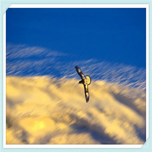 bbia口红安全吗（bbia口红怎么样）