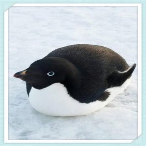 感恩我有这么好的家人（感恩我有这么好的家人说说）-华海博客