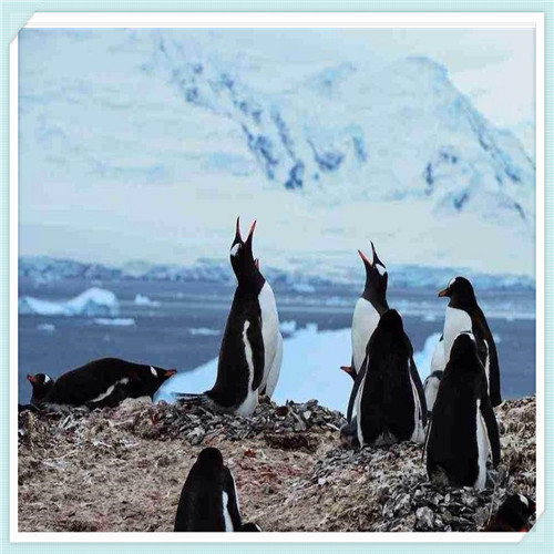 2036年我们会死吗(2036年会死多少人)