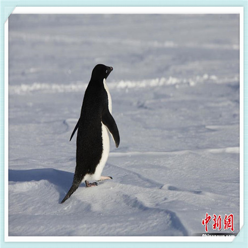 支付宝建信养老飞（支付宝建信养老飞越368）