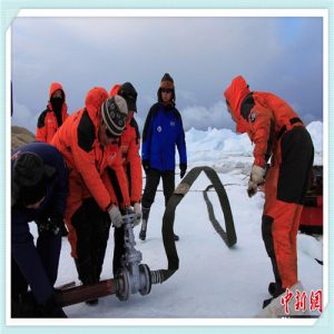 大白虾的制作方法（大白书签的制作方法）-华海博客