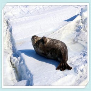 江门市致辉电路板设备（江门市致辉电路板设备有限公司）-华海博客