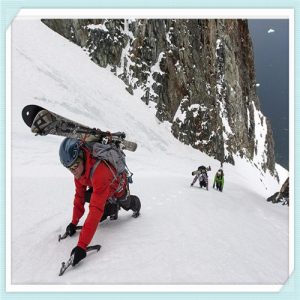 蔷薇少女漫画最终话（蔷薇少女漫画版）-华海博客