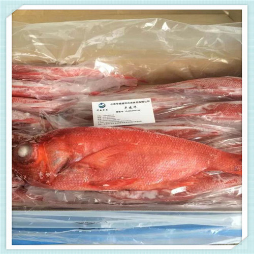 中广欧特斯空气能（中广欧特斯空气能热水器维修电话）