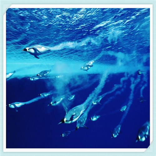 合创值得买吗（合创汽车值得加入吗）