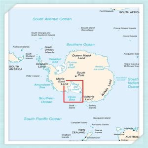 尤克里里入门牌子推荐（尤克里里入门牌子推荐200元以内）-华海博客