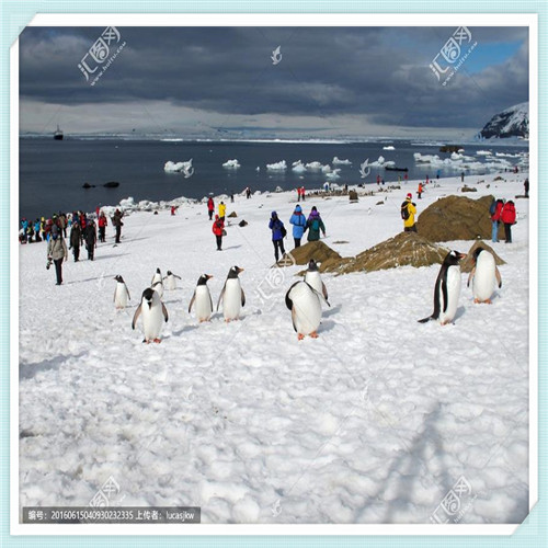 马自达质量排名第几（马自达在日本排名第几）