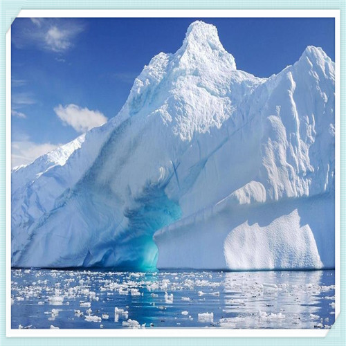 闷倒驴65度多少钱一瓶（闷倒驴65度价格表）