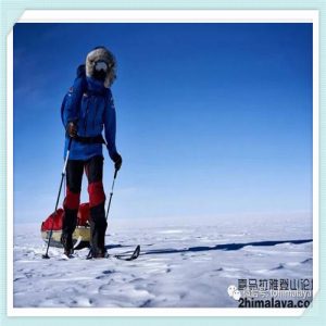 台湾野生茶（台湾野生茶天铸剑）-华海博客