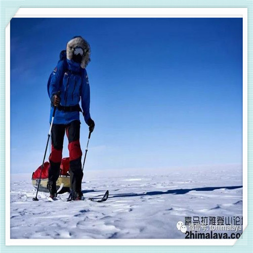 台湾野生茶（台湾野生茶天铸剑）