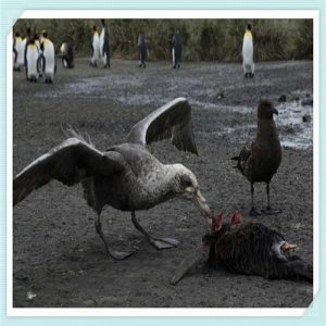 东风本田竞瑞为什么会停产（本田竞瑞为什么停产了）-华海博客