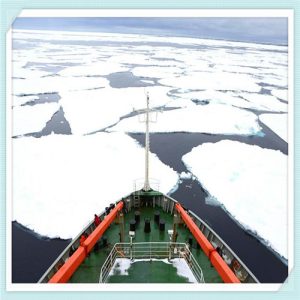 老大歌曲bridge（老大歌曲bridge歌词）-华海博客