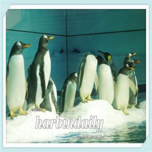 海南东方市民宿一个月多少钱（海南岛东方市民宿价格）-华海博客