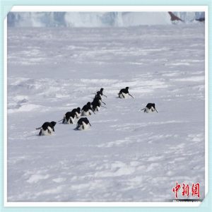 什么叫知音（什么叫知音请解释）-华海博客