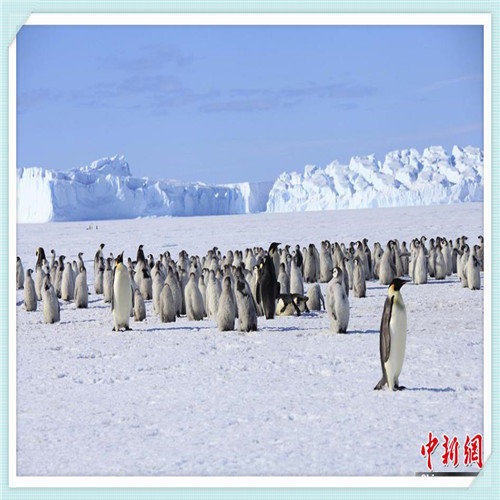 望京医院骨科怎么样（中国中医科学院望京医院骨科怎么样）