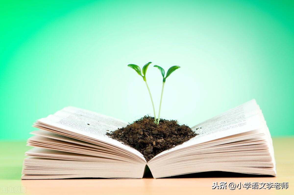 足球的球怎么组词字怎么组词（三年级语文上册词辨字组词大全，值得为孩子收藏的学习资料）