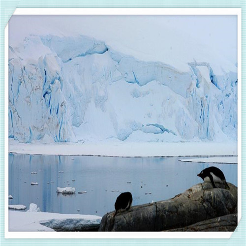 嘉兴阿特斯阳光能源咋样(嘉兴阿特斯阳光能源科技有限公司怎么样)