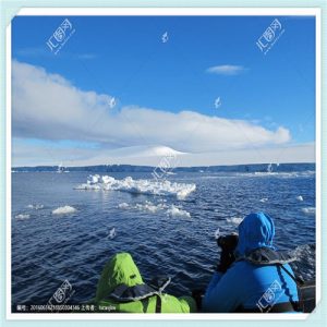 日本精工机芯怎么样（日本精工的机芯怎么样）-华海博客