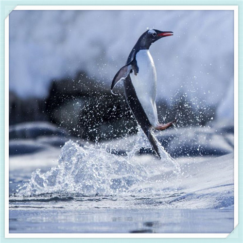 教育行业是干嘛的（教育行业好干嘛）