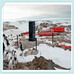 选山航还是青岛航空（山航和青岛航空哪个服务好）-华海博客